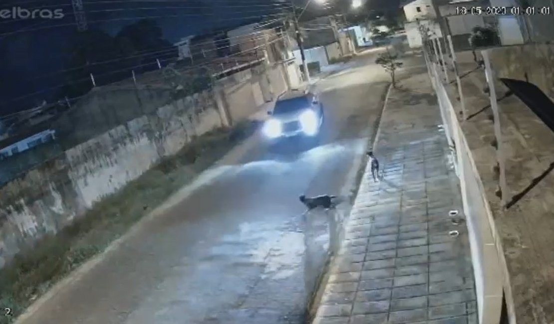 [Vídeo] Homem é condenado por perseguir e atropelar cachorro em Maceió