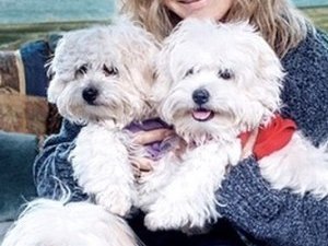 Famosa gasta R$ 2 milhões e freta avião só para as cachorrinhas