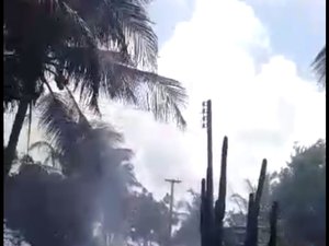 [Vídeo] Incêndio destrói sítio e fogo chega perto de casas em Japaratinga