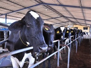 Com nova base de referência, PIB alagoano atinge R$ 37,2 bi em 2013