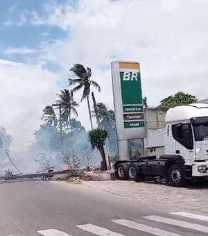 Ventania em Arapiraca derruba poste e interdita trecho da rodovia AL-110; confira vídeo