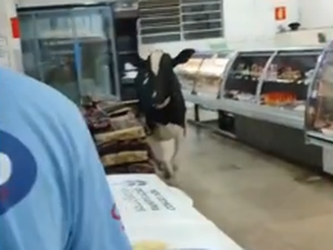 Boi invade supermercado, corre atrás de açougueiro e causa tumulto em MG