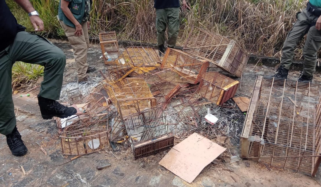 Operação Curupira resgata 235 aves em Alagoas