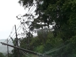 Motorista do prefeito de Maribondo se envolve em acidente na BR-316