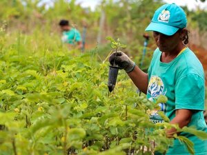 Alagoas teve o menor índice de sindicalização do país em 2019