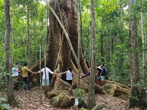 Maragogi possui destaque com de turismo de experiência e ecoturismo