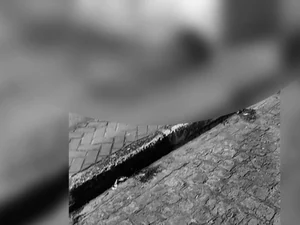 Adolescentes de 16 e 17 anos são assassinados a tiros em praça de Maribondo