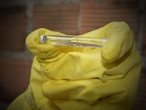 Alagoas lança plano para combater dengue, chikungunya e zika em 2026