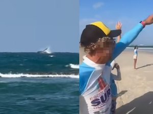 [Vídeo] Banhistas avistam saltos de baleia-jubarte na Praia do Francês