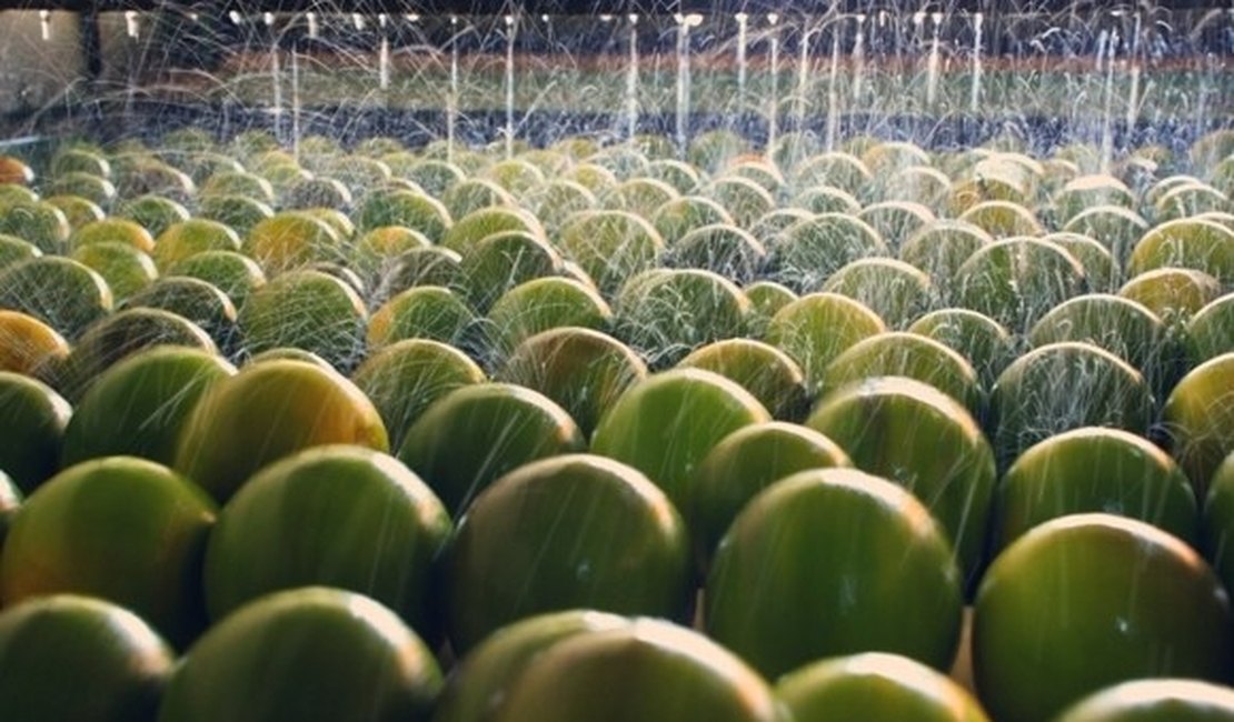 Produtos dos APLs serão degustados por representantes de bares e restaurantes