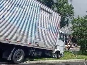 Caminhão perde controle, invade canteiro e derruba árvore na Av. Durval de Góes Monteiro