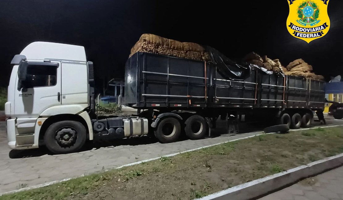 PRF apreende cerca de 27 toneladas de fumo in natura sem nota fiscal em São Sebastião
