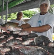 Com qualidade e preço baixo, Feira do Peixe Vivo atrai muitos consumidores