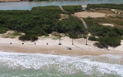 Manchas de óleo apareceram no litoral alagoano