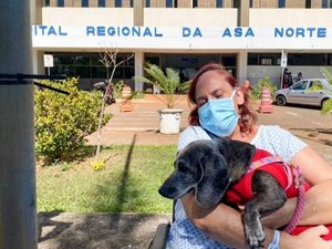 Com Covid há 69 dias, paciente internada em hospital reencontra cachorrinha de estimação