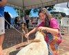 PL aprovado em Maceió restringe fogos de estampido para proteger pessoas e animais