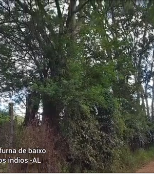 [Vídeo] Moradores da Aldeia da Cafurna em Palmeira temem por acidente com fiação elétrica na comunidade