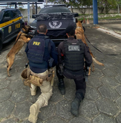 PRF apreende arma artesanal e 90 munições dentro de ônibus em São Sebastião