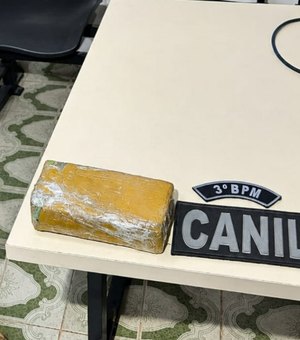 Polícia apreende 535 gramas de maconha em residência abandonada em Arapiraca