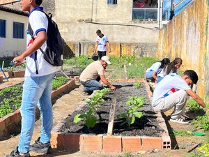 Projeto Horta nas Escolas é implantado no município de Matriz de Camaragibe
