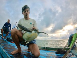 Tartarugas marinhas são monitoradas via satélite na Costa dos Corais