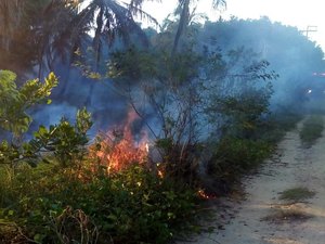 Incêndios em vegetação aumentam no fim de ano em Alagoas