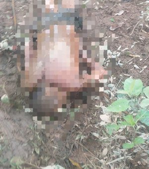 Corpo de homem é achado na zona rural do Passo de Camaragibe