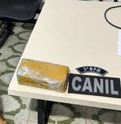 Polícia apreende 535 gramas de maconha em residência abandonada em Arapiraca