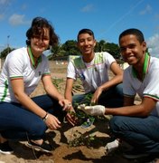 Projeto de arborização 'Alagoas Mais Verde' chega a Penedo