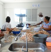 MPT realiza inspeção para verificar condições de saúde e segurança no centro pesqueiro de Maceió