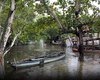Lagoa Manguaba transborda em Marechal Deodoro e ruas do Centro ficam alagadas