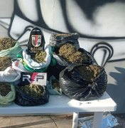 Polícia Militar apreende 21 quilos de maconha após denúncia em Arapiraca