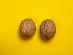 Guia das bolas: sexóloga ensina como chupar testículos da forma certa