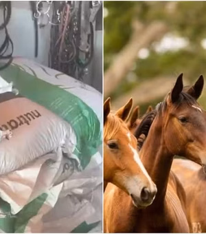 Ministério da Agricultura suspende venda de ração para equídeos da Nutratta após morte de cavalos