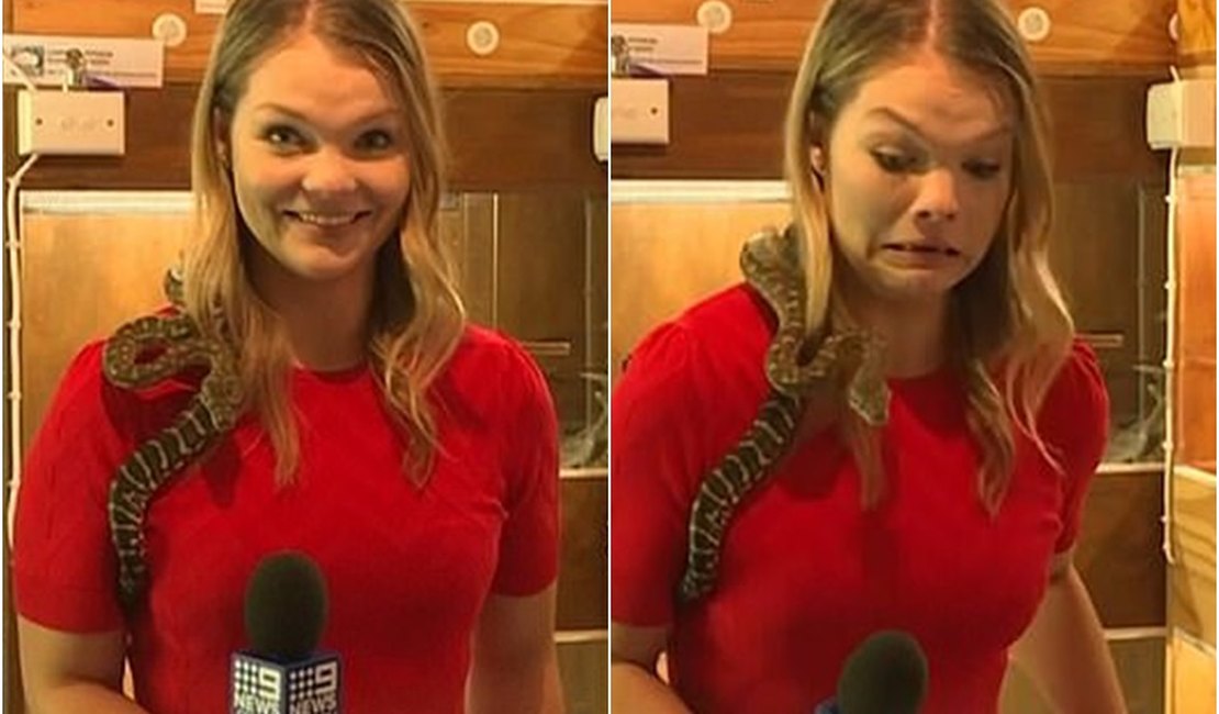 [Vídeo] Cobra ataca microfone de repórter na Austrália