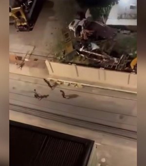 Vídeo flagra gritaria e pedidos de socorro em assalto à mão armada no Centro de Maceió