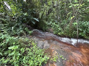 Rota do Cacau amplia ecoturismo e preservação ambiental em Matriz de Camaragibe
