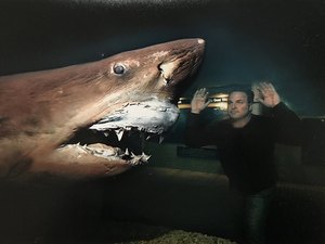 Tubarão branco é encontrado em taque de água em parque abandonado