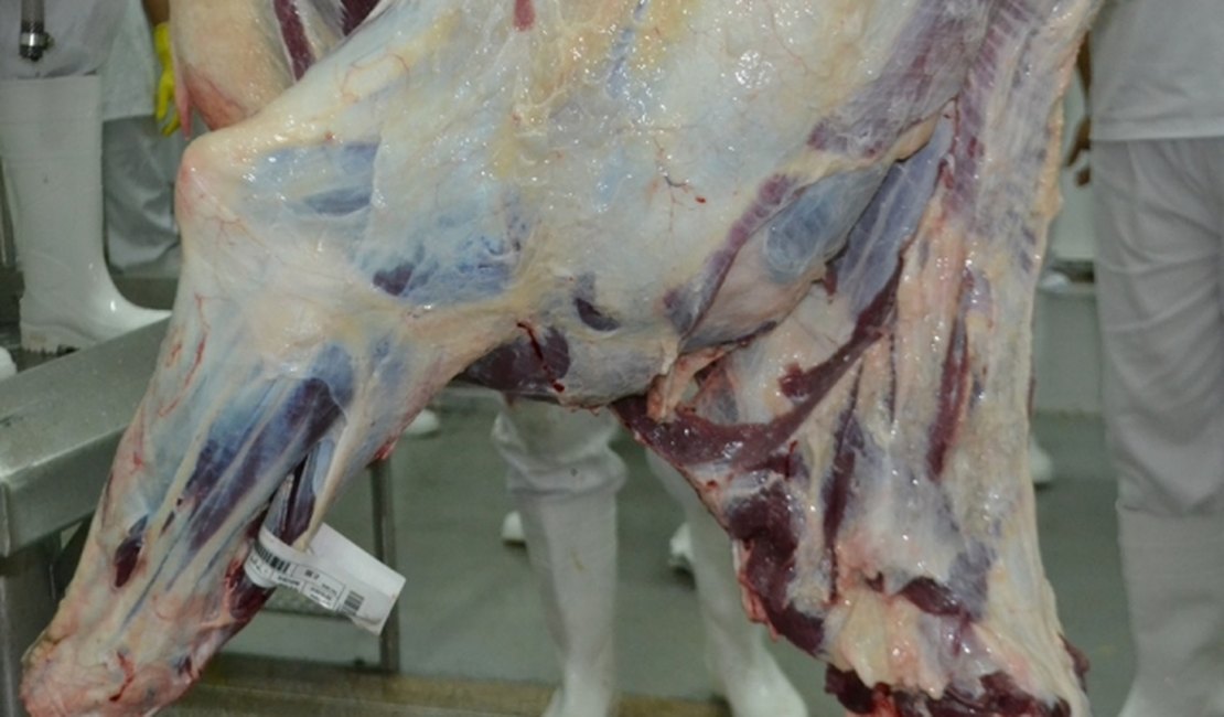 Reunião vai esclarecer operação da FrigoVale