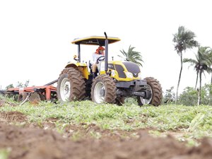 Prefeitura de Palmeira lança edição 2023 dos programas Terra Arada e Planta Palmeira nesta segunda (29)