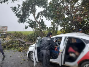 Carro de vereador se envolve em acidente e duas pessoas morrem