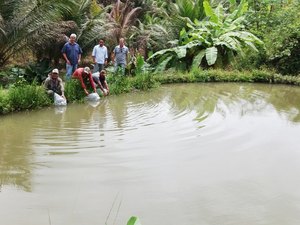 20 mil alevinos são entregues em assentamentos de Jacuípe