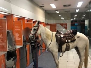 Dono leva cavalo para sacar dinheiro em agência bancária 