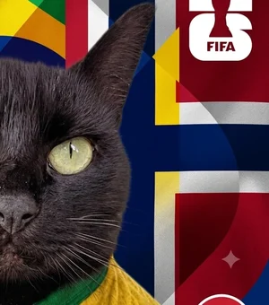 Gato vidente que acertou resultados da Copa faz previsão para Brasil x Noruega