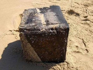 Na busca por origem de óleo, pesquisadores encontram resposta sobre os fardos