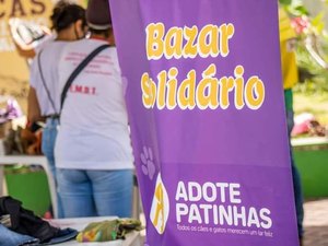 ONG Adote Patinhas realizará bazar solidário em Palmeira dos Índios