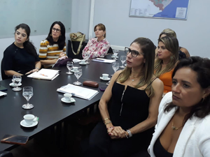 Marina Dantas se reúne com integrantes da ONU-Habitat para apresentação do panorama do Vida Nova nas Grotas