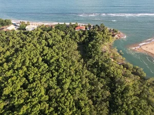 Área de manguezal na Praia de Pratagy será monitorado