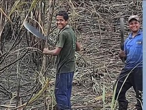 Famílias de adolescentes mortos em Colônia Leopoldina contestam versão da PM