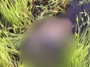 Corpo é encontrado enrolado em lona e submerso em lago na zona rural de Porto Real do Colégio